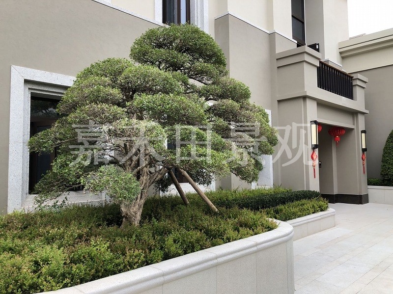 如何選擇專(zhuān)業(yè)的景觀設(shè)計(jì)師或施工隊(duì)伍？